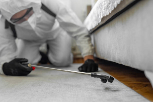 Professional Termite Control technician working in Highland Falls, NY